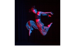 Soaring 1 - Daryl Lynch (Highly Commended - Open A Grade - Jun 2019 PDI)