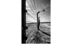 Electrifying - Frances Egan (Highly Commended - Set Subject - Lines - Jun 2019 PDI)