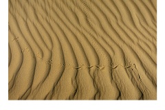 Lines in the Sand - Anne Seddon (Commended - Set Subject - Lines - Jun 2019 PDI)