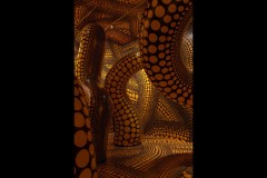 Kusama Exhibition - NGV (David Davidson ©)