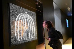 Kusama Exhibition - NGV (Sony Varma ©)