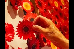 Kusama Exhibition - NGV (Jim Weatherill ©)