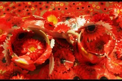 Kusama Exhibition - NGV (Joe Hajdu ©)