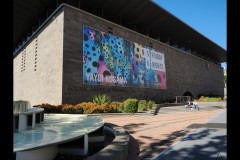 Kusama Exhibition - NGV (David Marriott ©)
