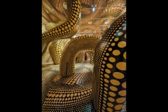 Kusama Exhibition - NGV (Robert Fairweather ©)