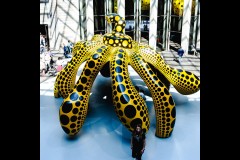 Kusama Exhibition - NGV (Peter Stuchbery ©)