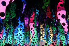 Kusama Exhibition - NGV (Sony Varma ©)