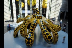 Kusama Exhibition - NGV (David Marriott ©)