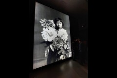 Kusama Exhibition - NGV (Paul Palcsek ©)