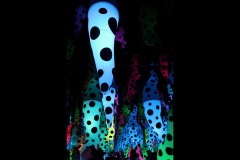 Kusama Exhibition - NGV (Mike Lewis ©)