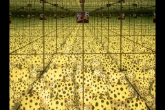 Kusama Exhibition - NGV (Robert Fairweather ©)