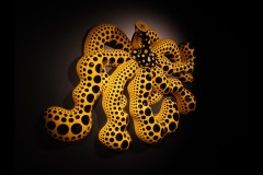 Kusama Exhibition - NGV (David Marriott ©)