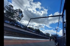 Kusama Exhibition - NGV (Paul Palcsek ©)
