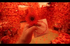 Kusama Exhibition - NGV (Jon Hogan ©)