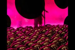 Kusama Exhibition - NGV (Jim Weatherill ©)