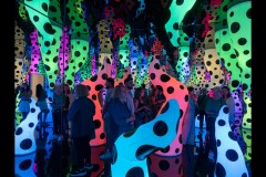 Kusama Exhibition - NGV (Ken Gosbell ©)