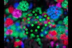 Kusama Exhibition - NGV (Robert Fairweather ©)