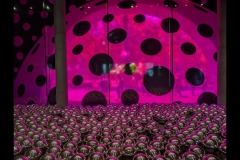 Kusama Exhibition - NGV (Robert Fairweather ©)