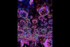 Kusama Exhibition - NGV (Sue Rocco ©)