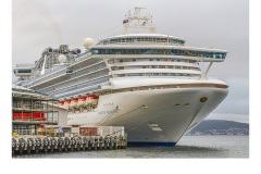 A grand entrance - Melissa Jane Cachia (Commended - Open B Grade - Mar 2019 PDI)