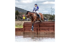 Over the Edge - Kyffin Lewis (Highly Commended - Open B Grade - Mar 2019 PDI)