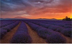 Sunset at Bridestowe - Jane Clancy (Highly Commended - Open A Grade - Mar 2019 PDI)