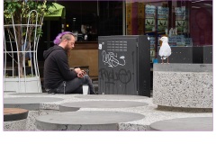Purple hair, really - Gary Richardson (Commended - Set Subject - Street Photography - Mar 2019 PDI)