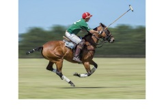 Race to the ball - Kyffin Lewis (Commended - Open B Grade - May 2019 PDI)