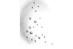 Drops - Alan Donald (Commended - Open A Grade - May 2019 PDI)
