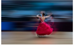 Quick Step - Jane Barnes (Commended - Set Subject - Movement - May 2019 PDI)