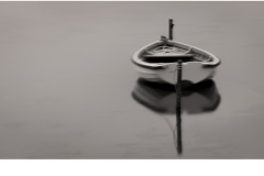 When life gets blurry, adjust your focus - Benjamin Lee (Commended - Set Subject - Movement - May 2019 PDI)