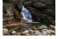 Solitude - Kerrie Matthee (Highly Commended - Set Subject - Movement - May 2019 PDI)