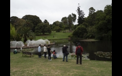 Melbourne Botanic Gardens Outing (Paul Palcsek ©)