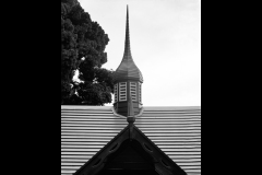 Melbourne Botanic Gardens Outing (Michelle Brasington ©)