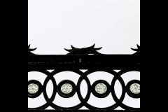 Melbourne Botanic Gardens Outing (Ian Jasper ©)