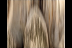 Melbourne Botanic Gardens Outing (Bob Clothier ©)