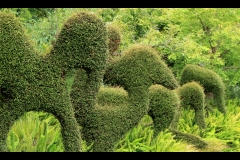 Melbourne Botanic Gardens Outing (Terry Noske ©)