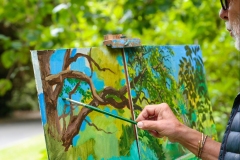 Melbourne Botanic Gardens Outing (Ian Jasper ©)