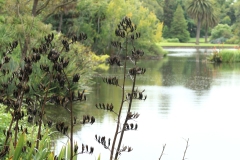 Melbourne Botanic Gardens Outing (Terry Noske ©)