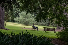 Melbourne Botanic Gardens Outing (Robert Fairweather ©)
