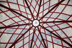 Melbourne Botanic Gardens Outing (Ian Jasper ©)