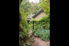 Melbourne Botanic Gardens Outing (David Dyett ©)