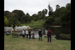 Melbourne Botanic Gardens Outing (Paul Palcsek ©)