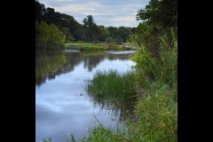 Melbourne Botanic Gardens Outing (Jim O’Donnell ©)