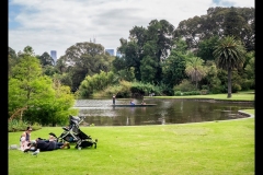 Melbourne Botanic Gardens Outing (Jim Weatherill ©)