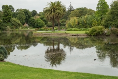 Melbourne Botanic Gardens Outing (David Dyett ©)