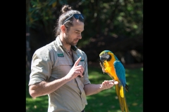 Melbourne Zoo Outing (Michael Brown ©)