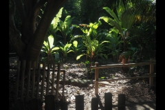 Melbourne Zoo Outing (Joe Hajdu ©)