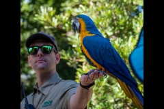 Melbourne Zoo Outing (Jim Weatherill ©)