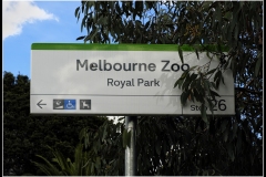 Melbourne Zoo Outing (Bob Clothier ©)